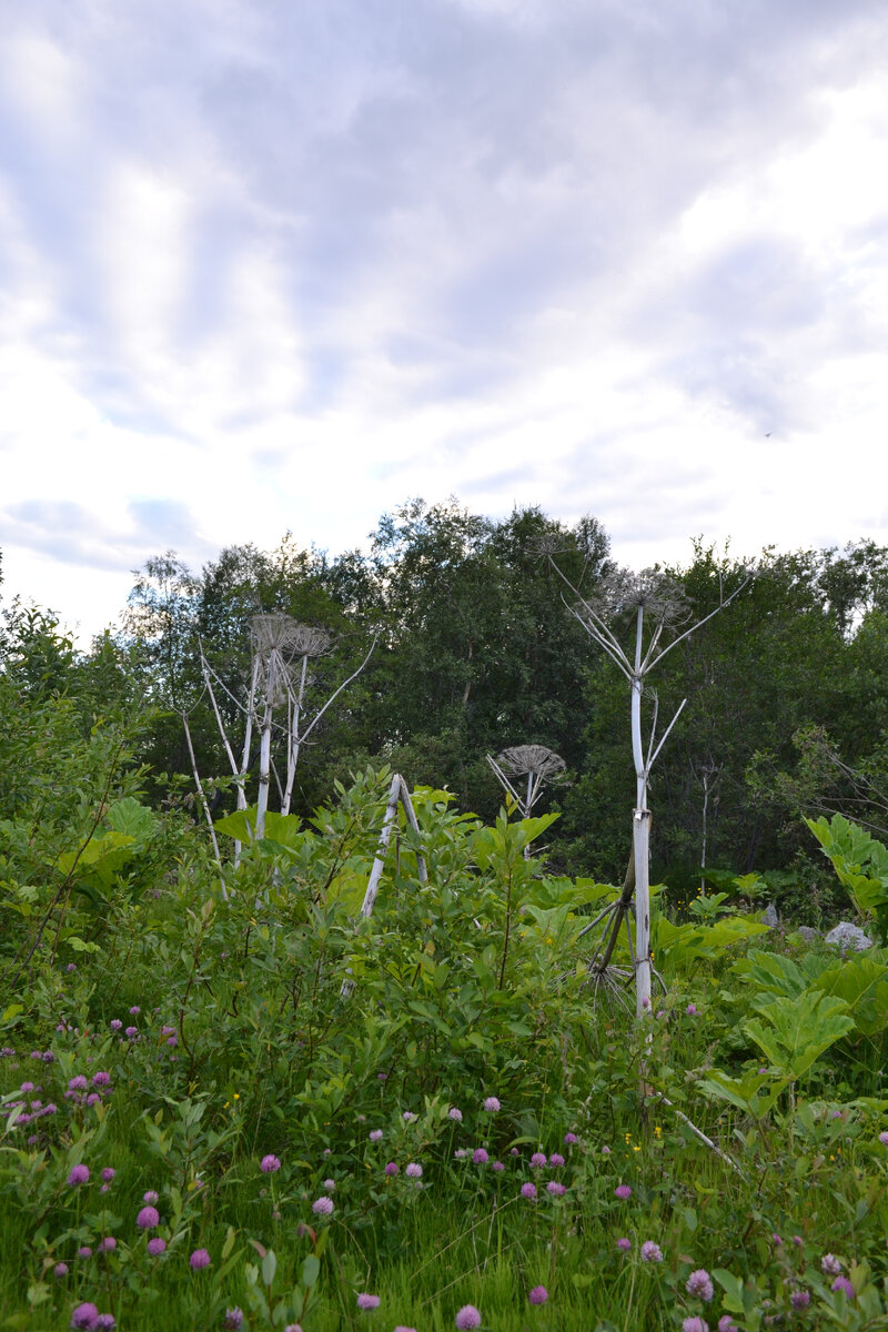 Все фото\видео мои