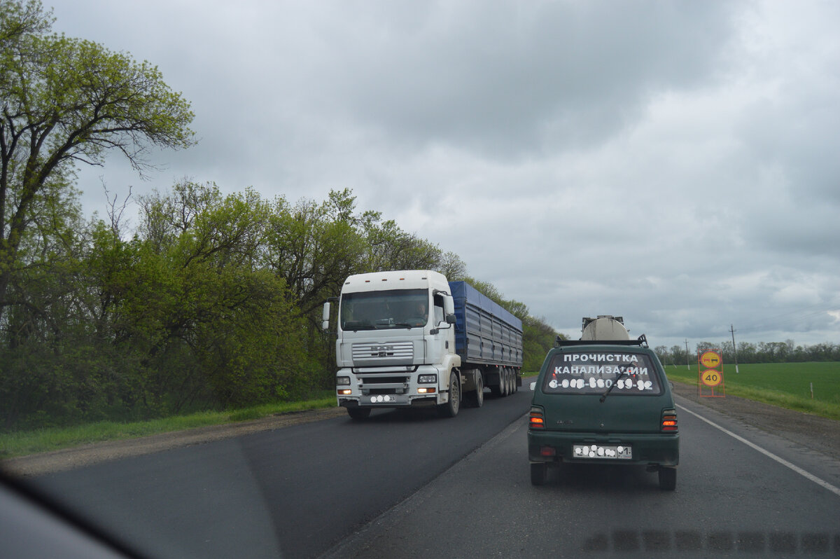 Фото автора. 29.04.2023. Случайный снимок. Здесь комментарий не нужен.