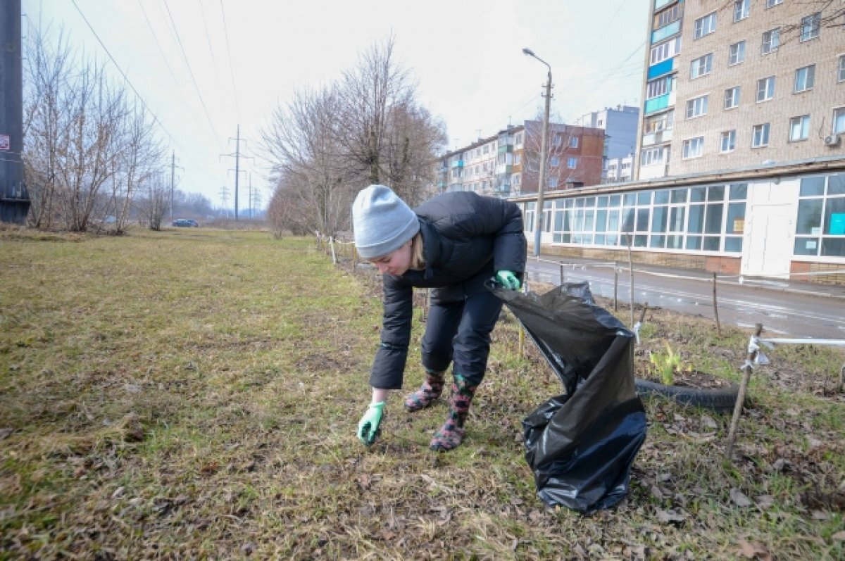    В Туле состоялись работы по уборке и озеленению