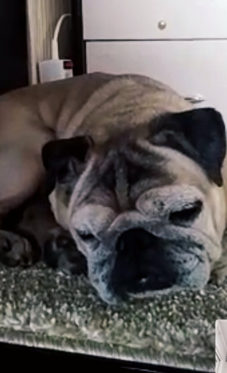 За несколько дней до.... 