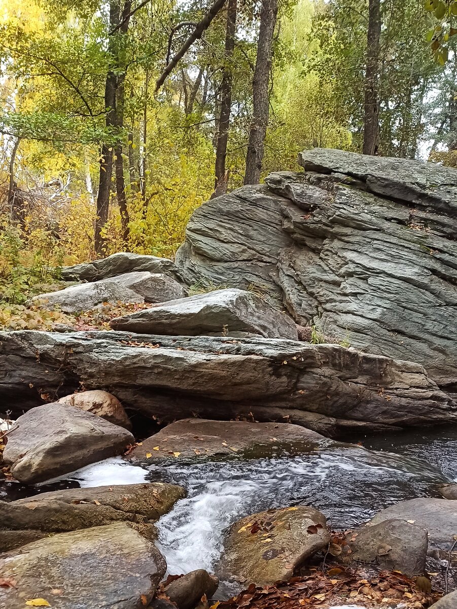 Золотая осень