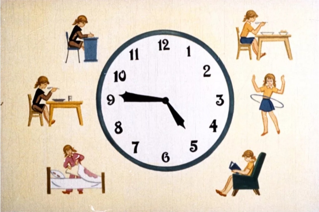 Распорядок дня