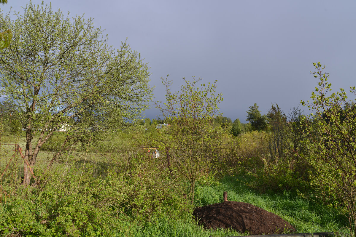 Фото из семейного архива