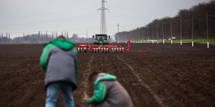    В «Прогресс Агро» сеют семена сои только российской селекции