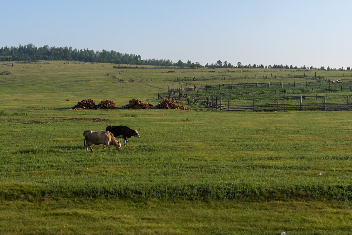 Петровск-Забайкальский | Камера, блокнот, дорога | Дзен