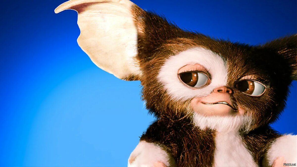 Хороший Гремлин не ест поле 12 ночи