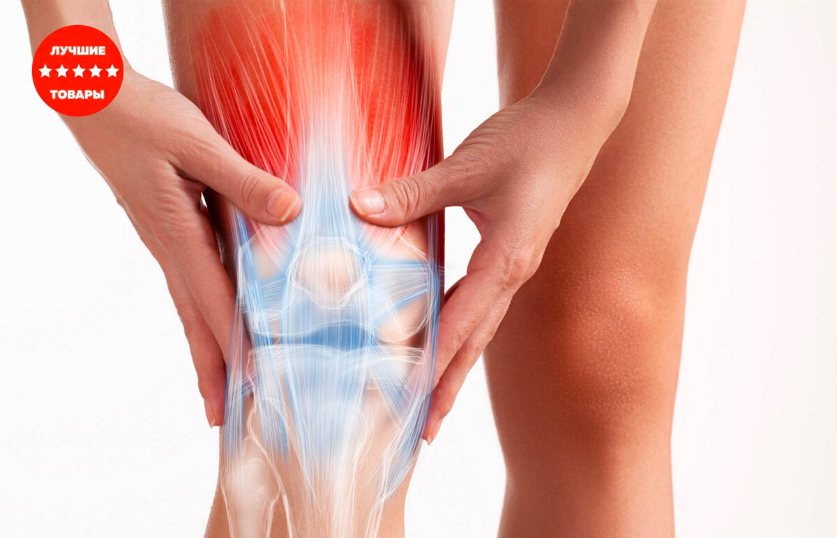 Изображение взято из открытых источников shutterstock.com  