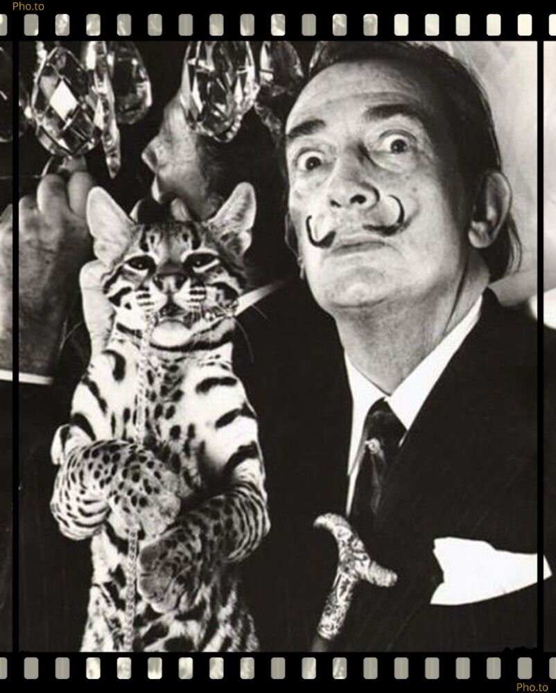 домашнее животное сальвадора дали. сальвадор дали. оцелот сальвадора дали. Salvador dali ocelot. сальвадор дали с муравьедом.
