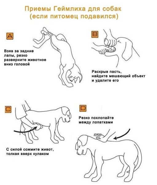 Клексан Раствор для инъекций 4000 анти-Ха МЕ/0,4 мл Шприц 9 шт