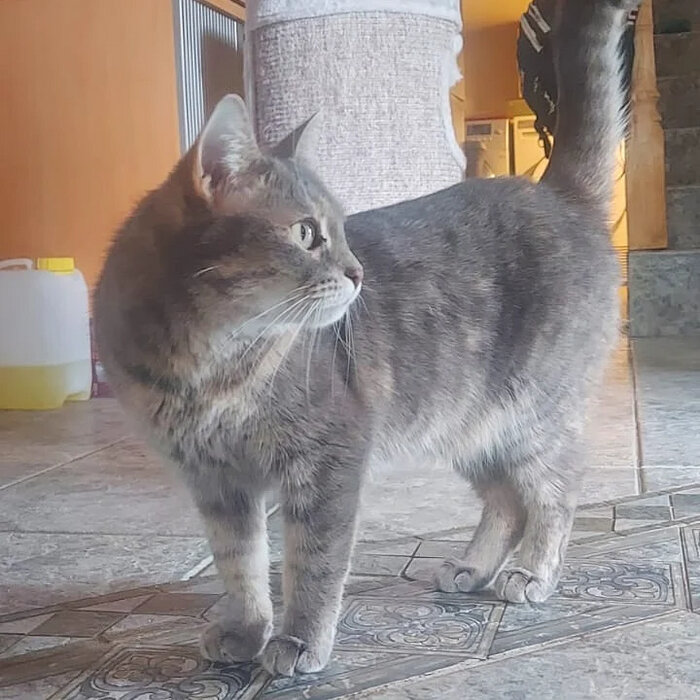 Листайте вправо, чтобы увидеть больше изображений