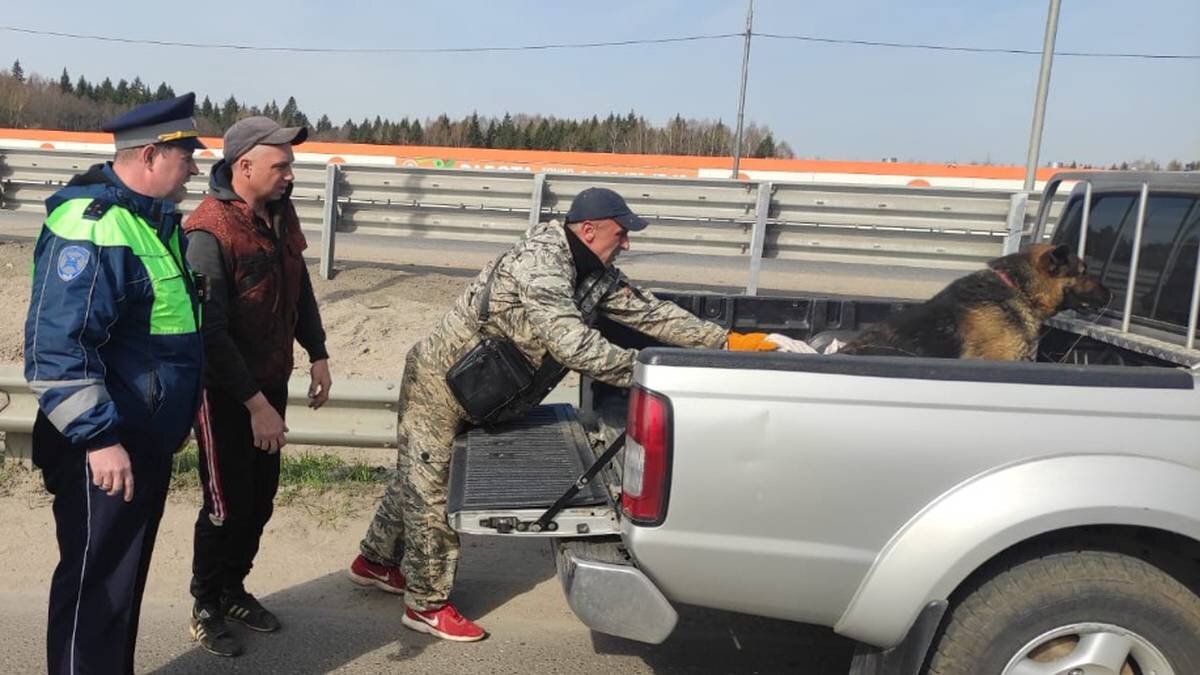 16 батальон 2 полка дпс южный