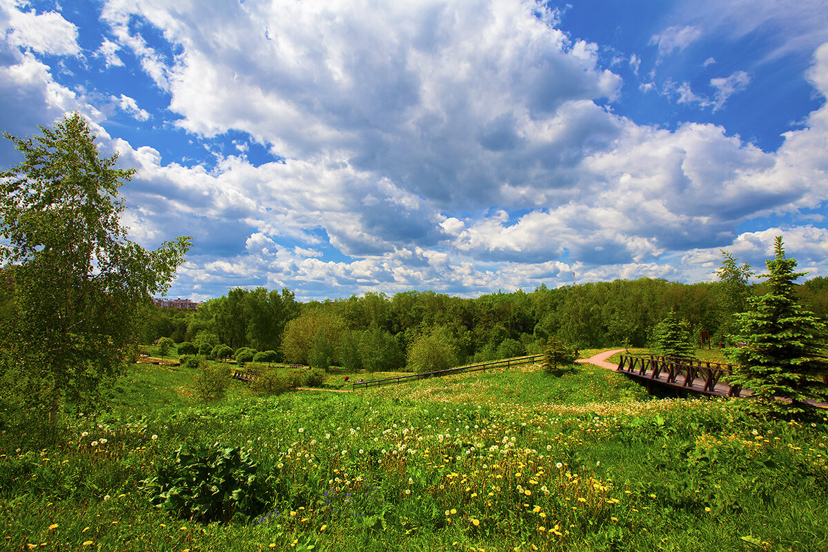 куркинский парк в химках