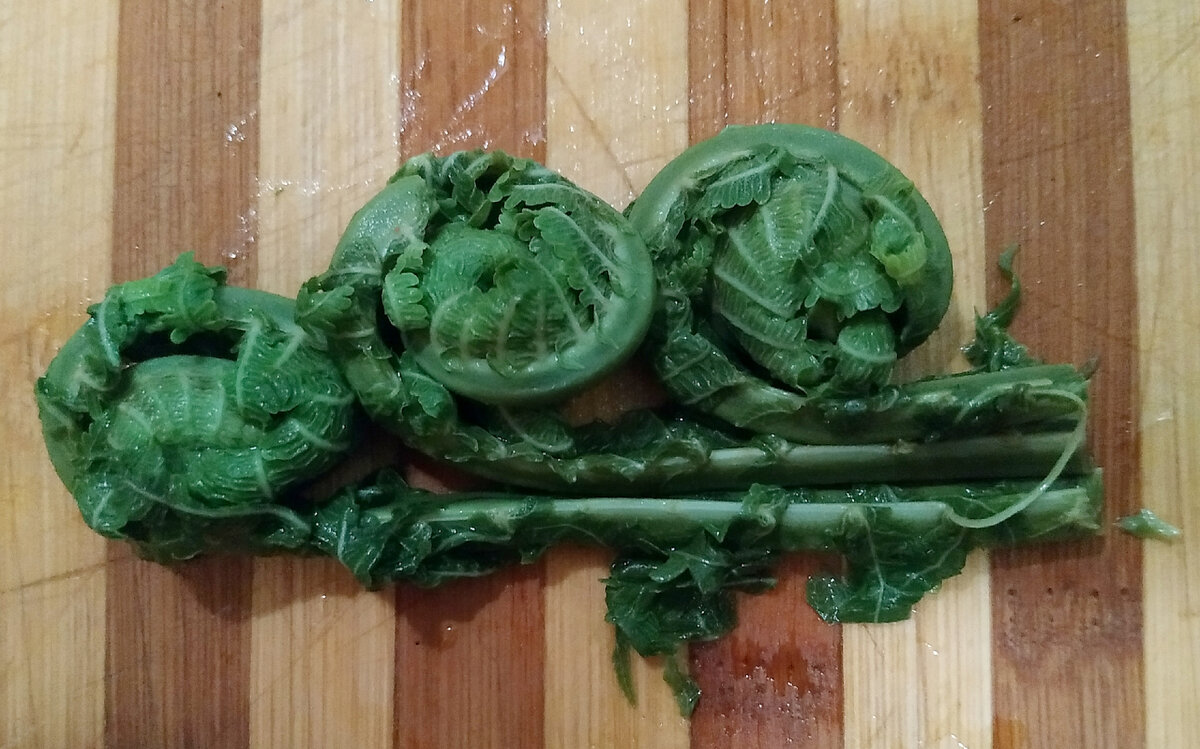 Отварной папоротник. Фото Алены Подобед
