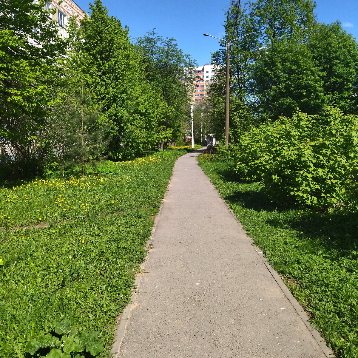 По дороге