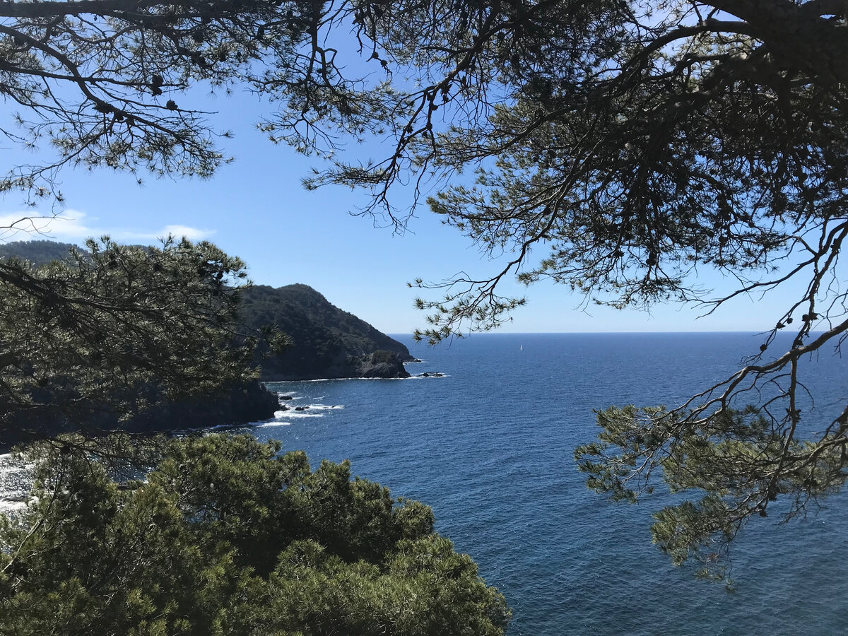 вид с прибрежной тропы 