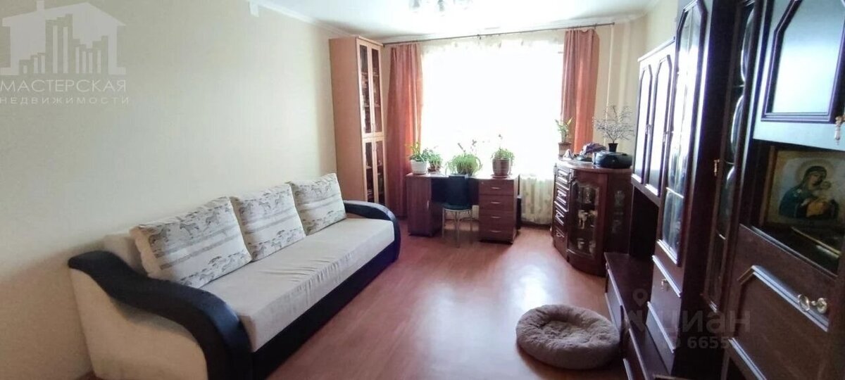    В трехкомнатной квартире найдется место и питомцам. Фото: Мастерская недвижимости