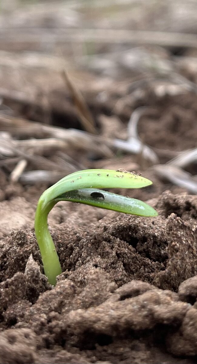 Фото из личного архива