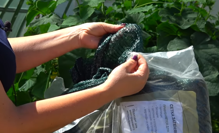 Строительная сетка для огорода