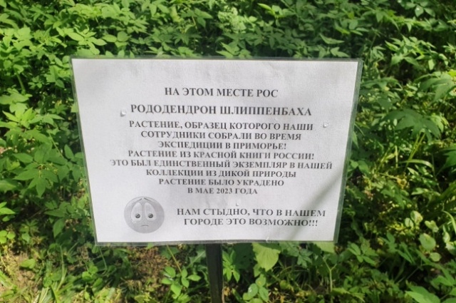    Фото: Из архива/ Ботанический сад ТвГУ