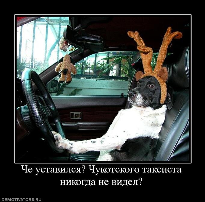 Meme: 