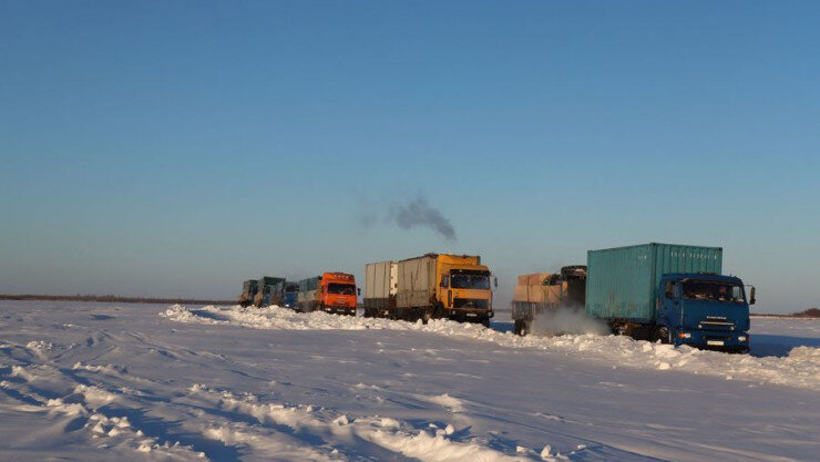 Фото: Алексей Курило