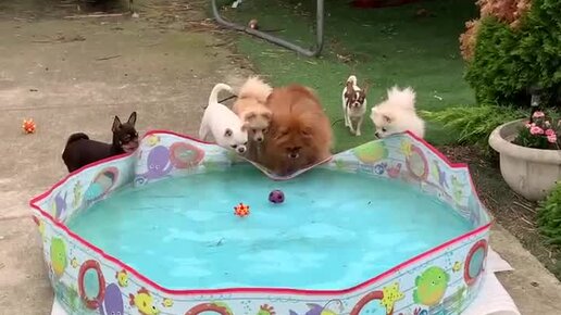 Татьяна - понемногу обо всем. | Неугомонный Буся. | Дзен