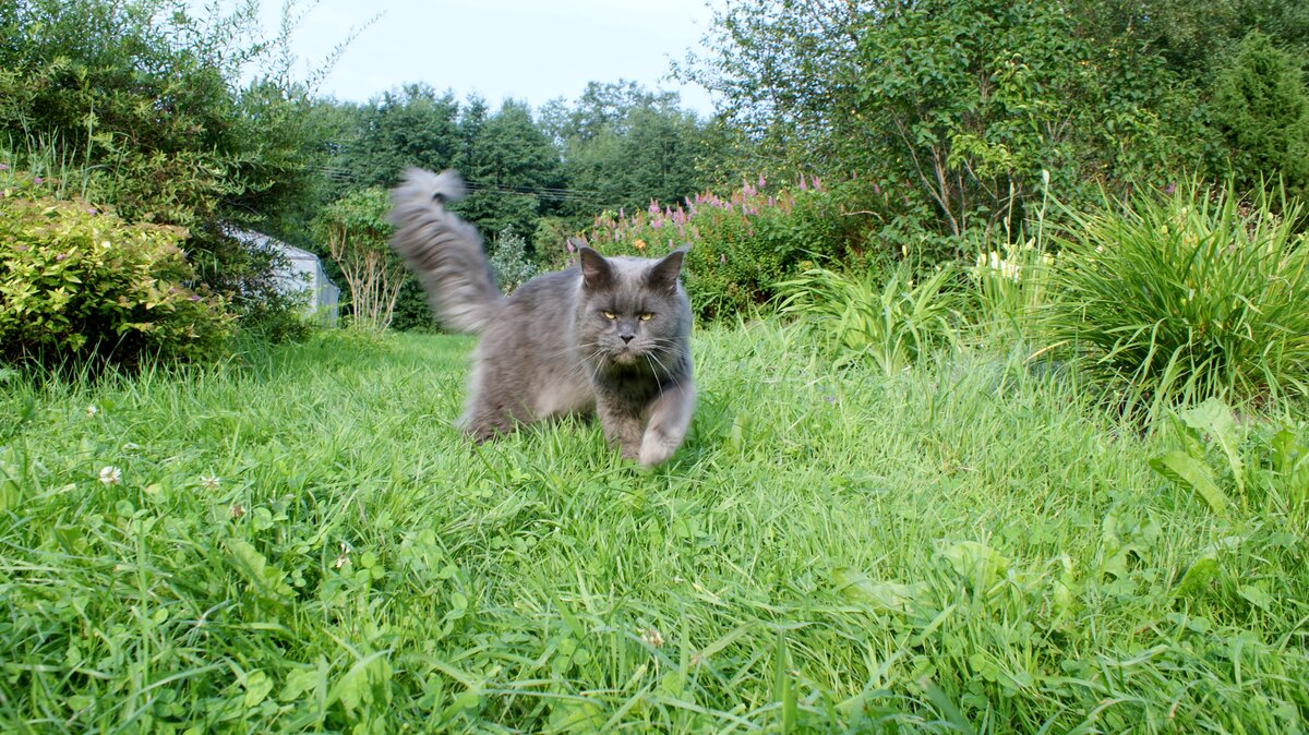 Фото из личного архива.