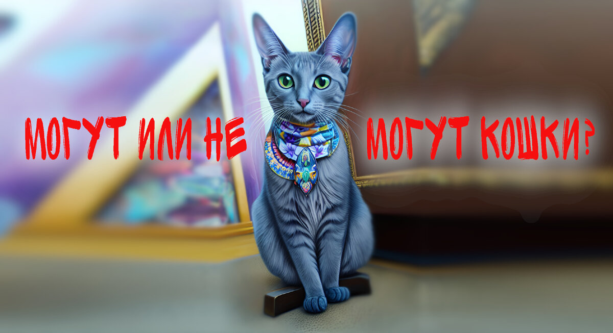 Что могут котики? 7 примет с кошками
