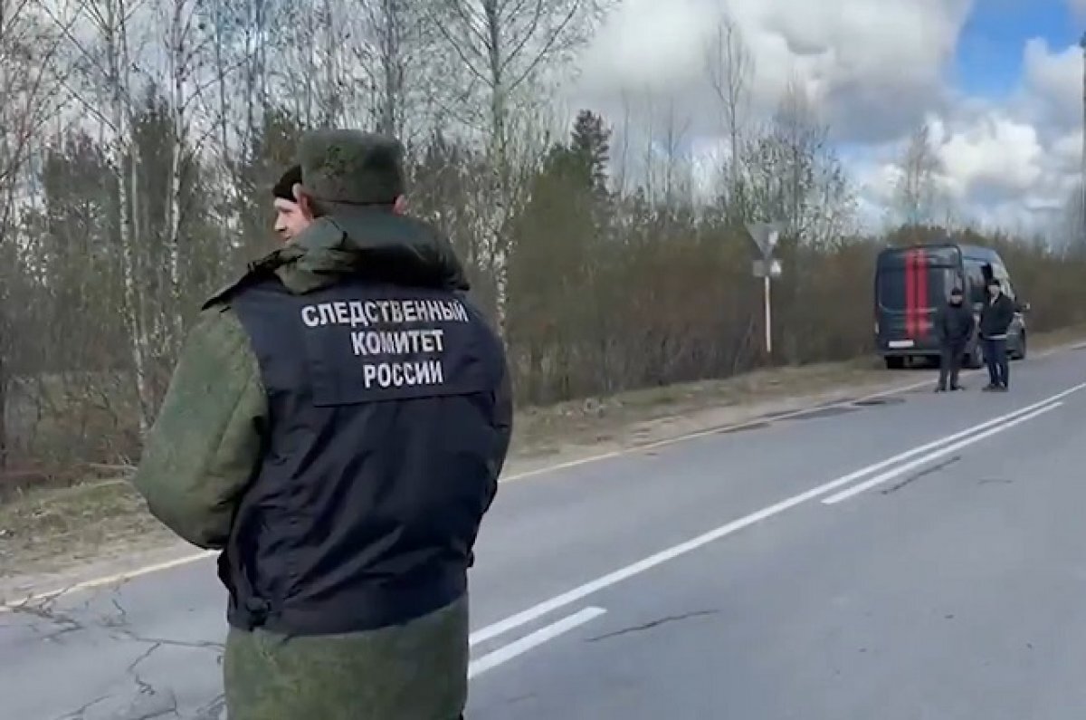    Бастрыкин проверит сведения о приставании мигранта к школьницам в Юкки