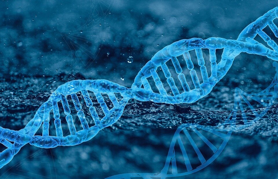    Genetics Molecule Gene Science Dna Biology Анастасия Никифорова