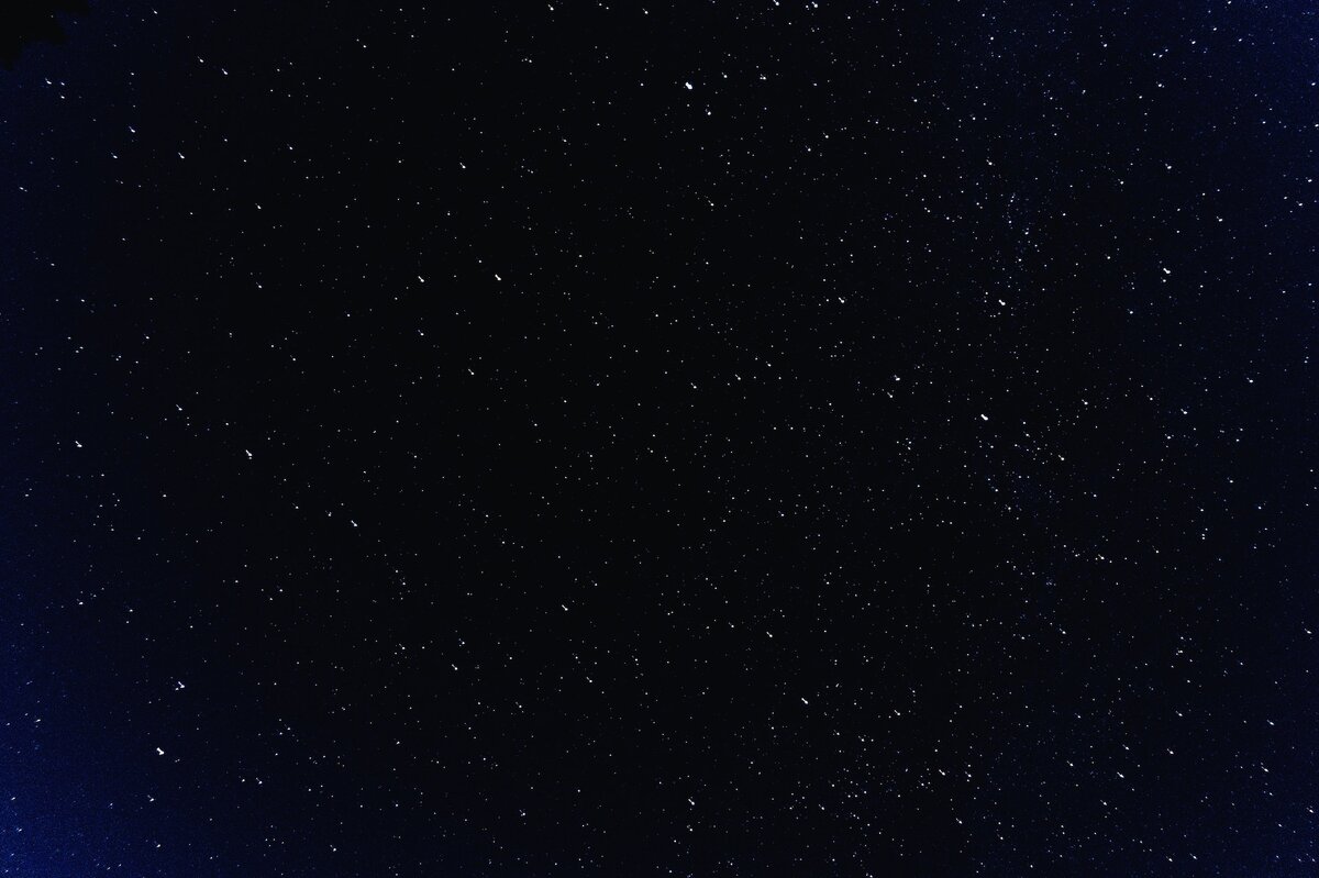 Фото: unsplash.com