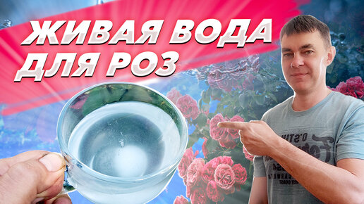 Живая вода