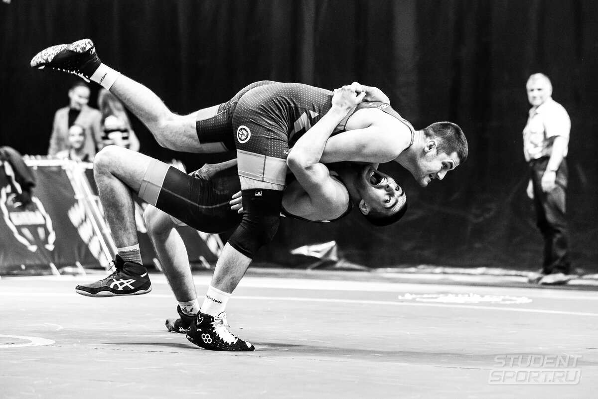Вольная борьба чемпионат мира. Изаков сергей грепплинг. Львы бьются. Александр карелин. Борьба двух равных.