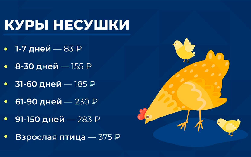  Суммы, которые возместят владельцам домашней птицы в Удмуртии после ее изъятия в связи с птичьим гриппом. Фото: ЦУР Удмуртской Республики