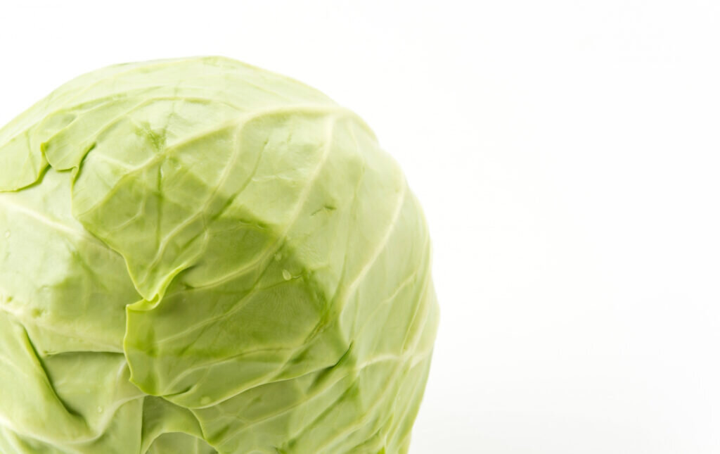    freepik.com Альфия РАДЫГИНА