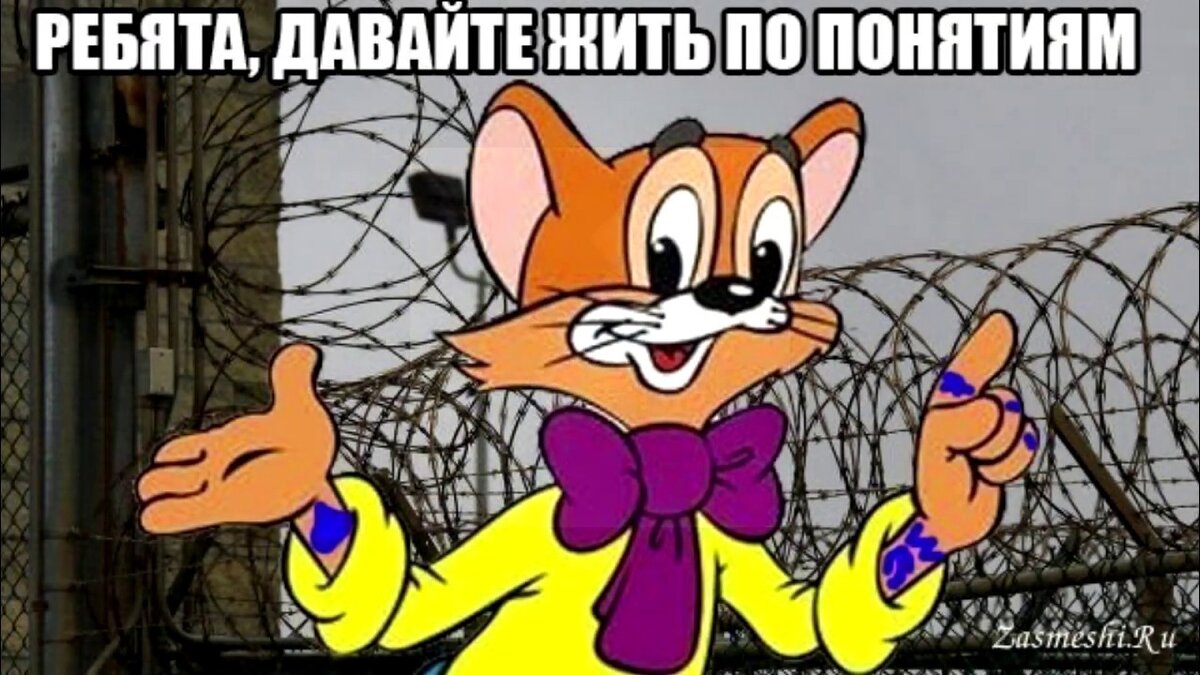 Я спать ребятки давайте идите кот мем