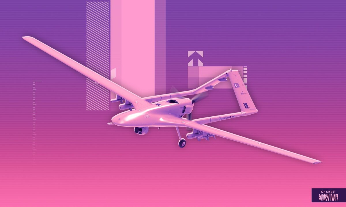    Bayraktar TB2 Иван Шилов (с) ИА REGNUM