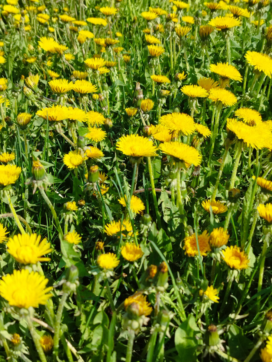 Фото из личного архива автора