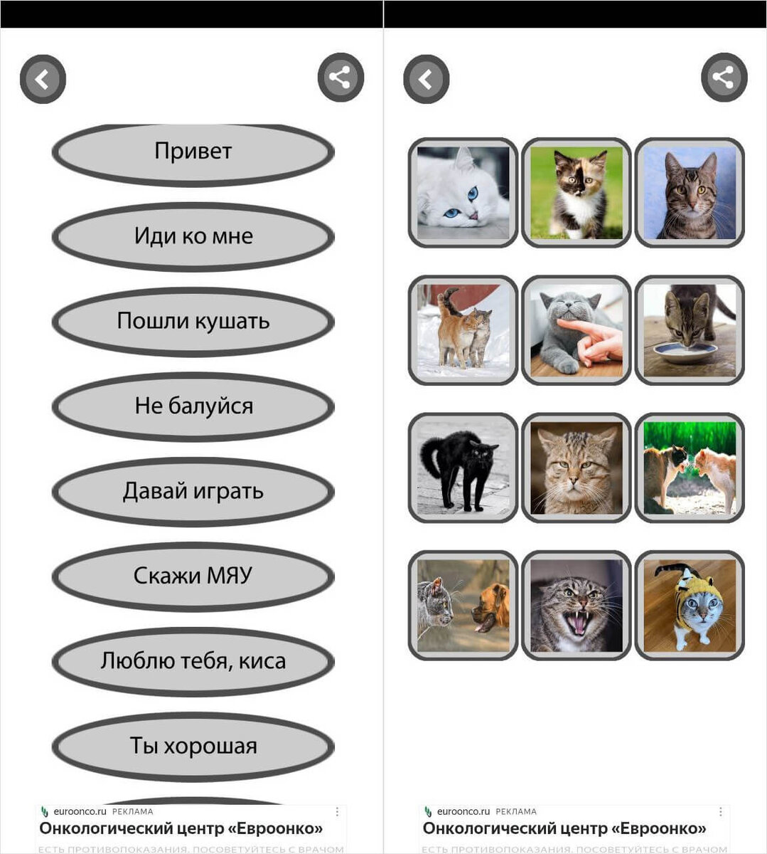    Это самый простой переводчик на кошачий язык