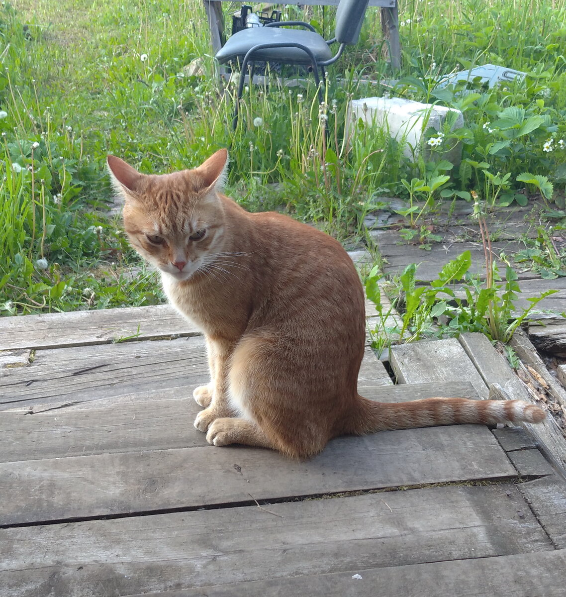 Личное  фото.