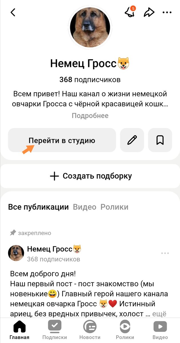 Стрелочкой показано куда нажать
