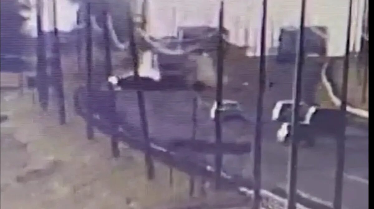 Фото: Стоп-кадр из видео / t.me/shot_shot