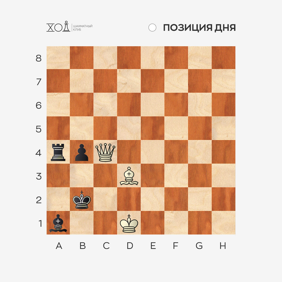 Задача по шахматам
