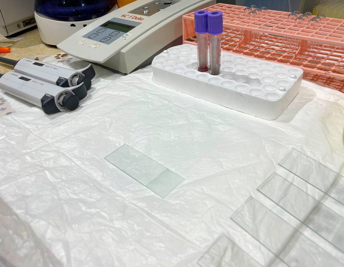 Удобно оборудованное место для проведения проб