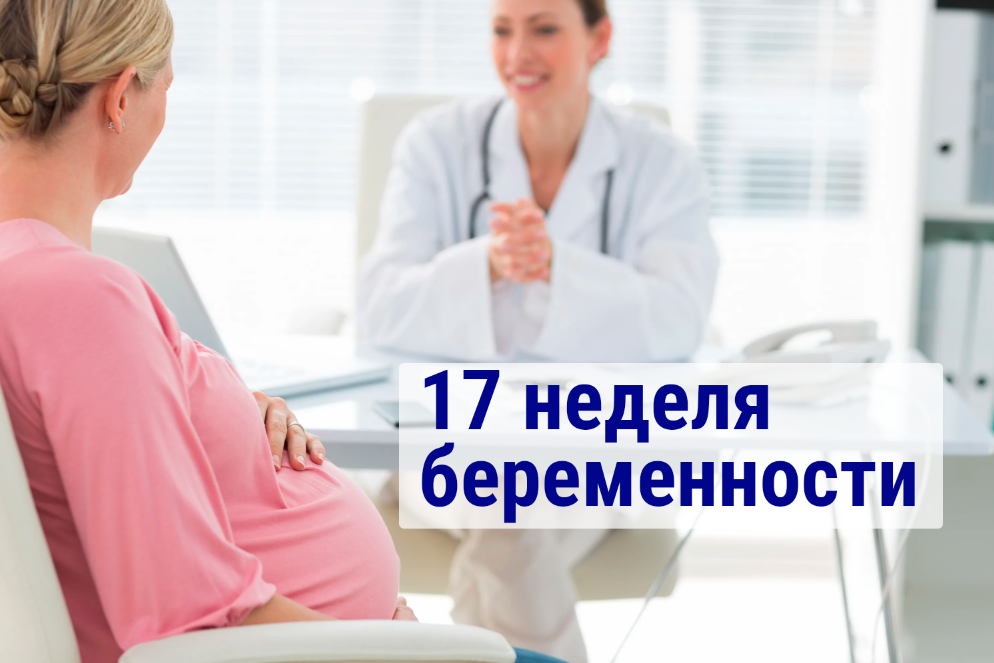 Второй триместр беременности (от 13 до 28 недель)