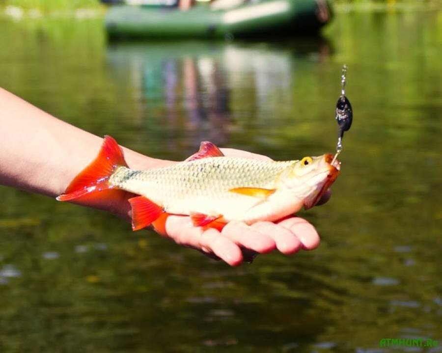 Фото с сайта: https://gruzarf.ru/wp-content