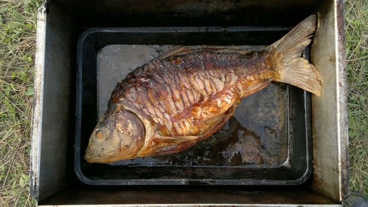 ФОТО: ZAMIR USMANOV/RUSSIAN LOOK/GLOBALLOOKPRESS