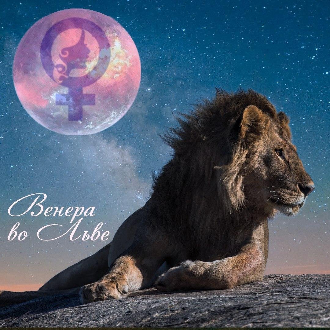 яндекс-картинки