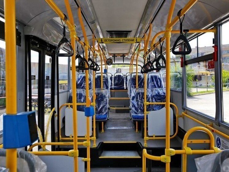     ФОТО: ГУСТАВО ЗЫРЯНОВ / МК В ОМСКЕ