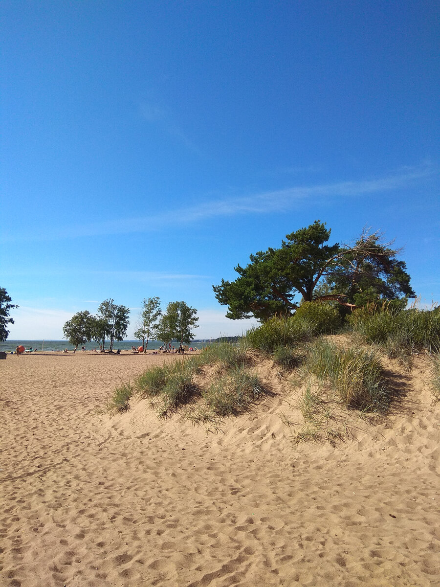 Пляж Ласковый. Фотографии автора
